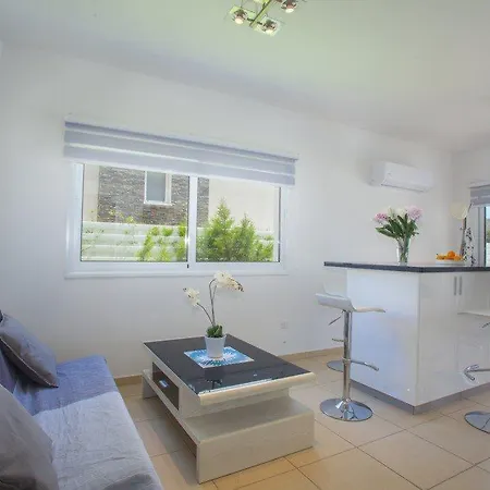 Renting This With Large Private Pool 40 Villa